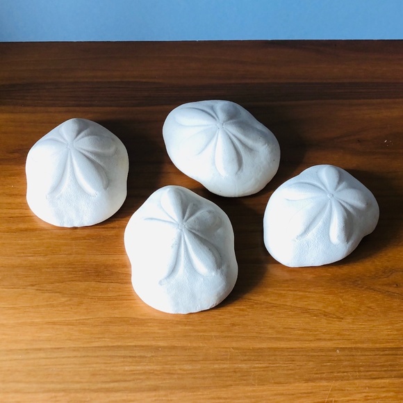 Sea Biscuits - Set of Four - Picture 4 of 6